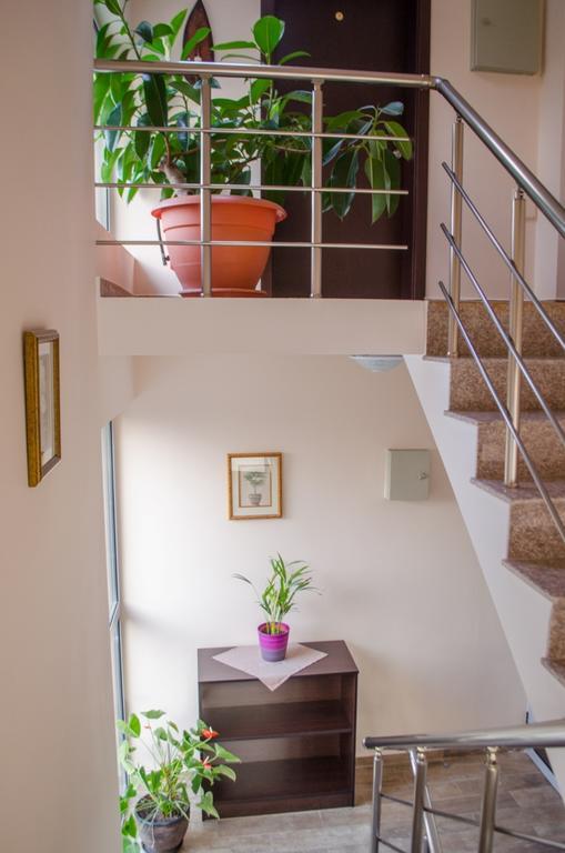 Guest House Dinevi Saparewa Banja Exterior foto
